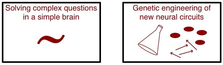 research_theme_combined